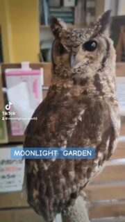 本日#ワンコイン 企画開催中ー