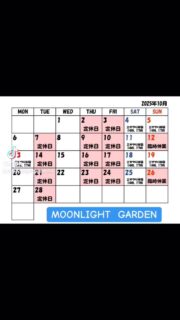 10月の営業予定カレンダーできましたー!
涼しくなってきたので、急にお出かけ等でお休みになる事があります⚠️
11日、12日は尾張旭にある城山公園で開催のお祭りを見に行く予定です。
・11日…14時からのエサやり体験は15時頃に変更となります
・12日…お休み予定ですが、オーナーが出勤すれば営業になるかも?
26日は滋賀県で開催の猛禽祭に遊び行きます!
当店にはいないタカや大型フクロウもいるので、興味がある方は詳細をお問い合わせ下さい。気軽に立ち寄りできますよー
またエサやり体験に#アメリカワシミミズク のアルデバランが参戦するかも!?
飼育して5年ほど経ちますが、急にピンセットから食べるようになりました😍デレ期きた…?
30分から遊べる
フクロウ🦉&エキゾチックアニマル
ふれあいスペース
MOONLIGHT GARDEN
🏢名古屋市守山区四軒家2-503扶桑ビル1階
平日:13時〜20時(最終受付19時)
土曜:12時〜20時(最終受付19時)
日曜:12時〜17時30分(最終受付17時)
⚠️買い出し等でオープン時間が変更になる時あります
⚠️定休日:火・木・金(祝日は営業)
土日祝は14時と17時にフクロウ🦉のエサやり体験開催🐥(各回先着2組)※触れ合い料金のみでご参加頂けます
🦉触れ合い料金🐢
💰平日💰
30分…大人1,000円/小中学生600円
フリータイム…大人2,000円/小中学生1,500円
💰土日祝💰
30分…大人1,200円/小中学生800円
1時間…大人2,000円/小中学生1,500円
ゆっくりされたい方は平日のご来店がオススメですよ
飲食物持ち込み🆗(蓋ができる物)
⚠️ゴミは各自お持ち帰り下さい
#フクロウカフェ名古屋
#守山フクロウカフェ
#ふれあい
#レオパ販売
#フクロウ販売
#フクモモ販売