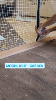 先週はケガをして元気のなかったミャーちゃん🦉ですが
先日からやる気に満ちあふれて看板しています
間もなくオープンします
本日もよろしくお願いします❣️
30分から遊べる
フクロウ🦉&エキゾチックアニマル
ふれあいスペース
MOONLIGHT GARDEN
🏢名古屋市守山区四軒家2-503クイール四軒家(扶桑ビル)1階
🅿️店舗前1台
平日:13時〜20時(最終受付19時)
土曜:12時〜20時(最終受付19時)
日曜:12時〜17時30分(最終受付17時)
⚠️買い出し等でオープン時間が変更になる時あります
⚠️定休日:火・木・金(祝日は営業)
土日祝は14時と17時にフクロウ🦉のエサやり体験開催🐥(各回先着2組)※触れ合い料金のみでご参加頂けます
🦉触れ合い料金🐢
💰平日💰
30分…大人1,000円/小中学生600円
フリータイム…大人2,000円/小中学生1,500円
💰土日祝💰
30分…大人1,200円/小中学生800円
1時間…大人2,000円/小中学生1,500円
ゆっくりされたい方は平日のご来店がオススメですよ
飲食物持ち込み🆗(蓋ができる物)
⚠️ゴミは各自お持ち帰り下さい
#フクロウカフェ名古屋
#守山フクロウカフェ
#ふれあい
#レオパ販売
#フクロウ販売
#フクモモ販売
#爬虫類
#フクロウ
#リクガメ
#シシバナヘビ
#鳥好きと繋がりたい
#爬虫類好きと繋がりたい