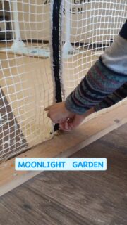 本日も看板🦉は張り切っていますよー
14時と17時からエサやり体験開催しますよ🐥
各回先着2グループ限定です
触れ合い料金のみでご参加いただけます
30分から遊べる
フクロウ🦉&エキゾチックアニマル
ふれあいスペース
MOONLIGHT GARDEN
🏢名古屋市守山区四軒家2-503クイール四軒家(扶桑ビル)1階
🅿️店舗前1台
平日:13時〜20時(最終受付19時)
土曜:12時〜20時(最終受付19時)
日曜:12時〜17時30分(最終受付17時)
⚠️買い出し等でオープン時間が変更になる時あります
⚠️定休日:火・木・金(祝日は営業)
土日祝は14時と17時にフクロウ🦉のエサやり体験開催🐥(各回先着2組)※
触れ合い料金のみでご参加頂けます
🦉触れ合い料金🐢
💰平日💰
30分…大人1,000円/小中学生600円
フリータイム…大人2,000円/小中学生1,500円
💰土日祝💰
30分…大人1,200円/小中学生800円
1時間…大人2,000円/小中学生1,500円
ゆっくりされたい方は平日のご来店がオススメですよ
飲食物持ち込み🆗(蓋ができる物)
⚠️ゴミは各自お持ち帰り下さい
#フクロウカフェ名古屋
#守山フクロウカフェ
#ふれあい
#レオパ販売
#フクロウ販売
#フクモモ販売
#爬虫類
#フクロウ
#リクガメ
#シシバナヘビ
#鳥好きと繋がりたい
#爬虫類好きと繋がりたい